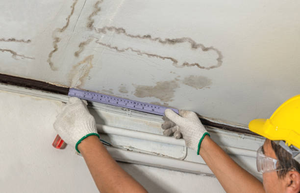Reliable Structural Drying contractor in Fowlerville, MI by Water Damage Irwin